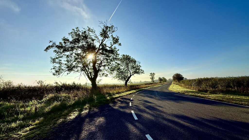 Early Monday by carole_sandford