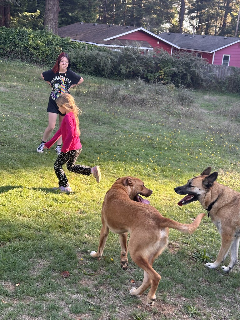 Grandkids and great granddogs by pandorasecho