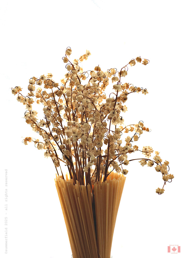 a study in textures by summerfield