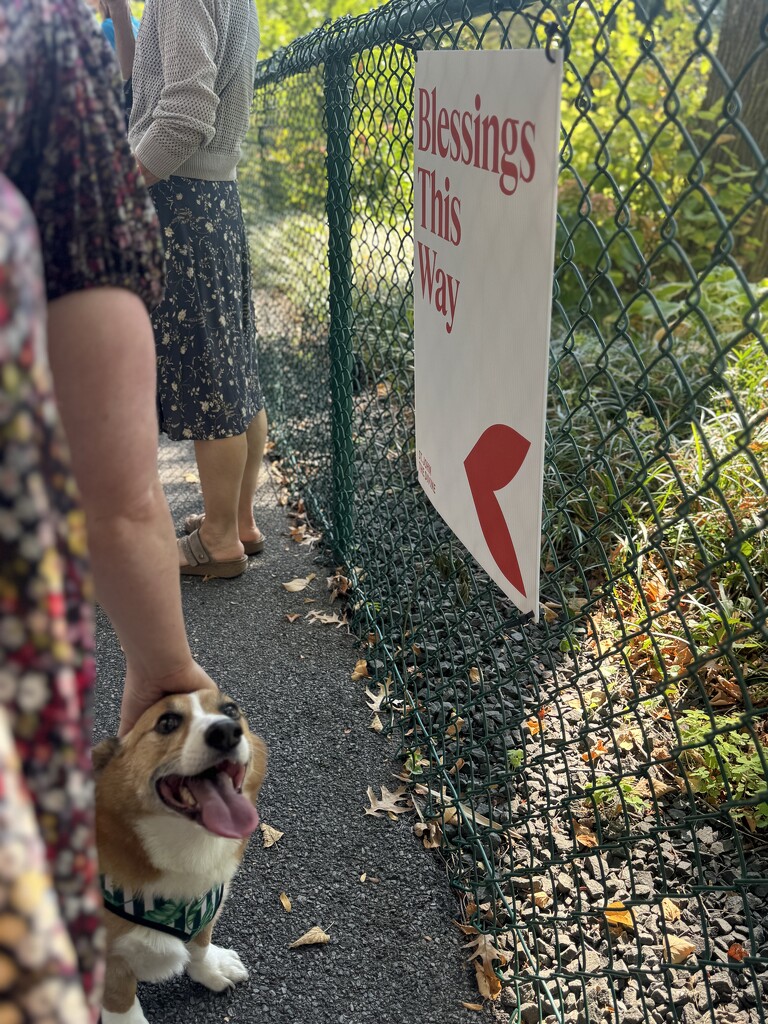 In the Blessings Line by blackmutts