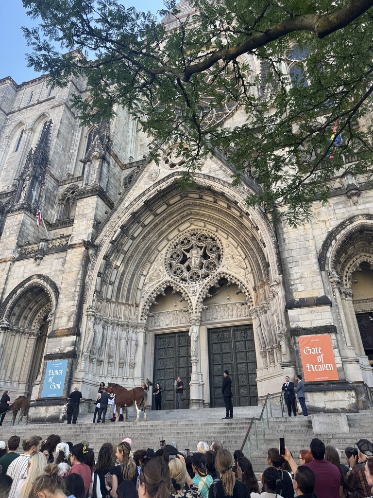 Blessing of the Animals by blackmutts