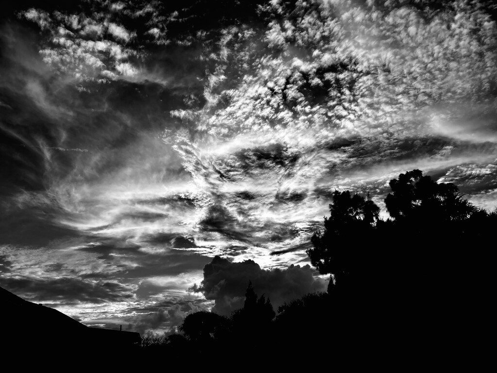 Another BAD forecast 🌪️💨🌫️ by joemuli