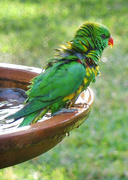 6th Oct 2025 - All Clean Now