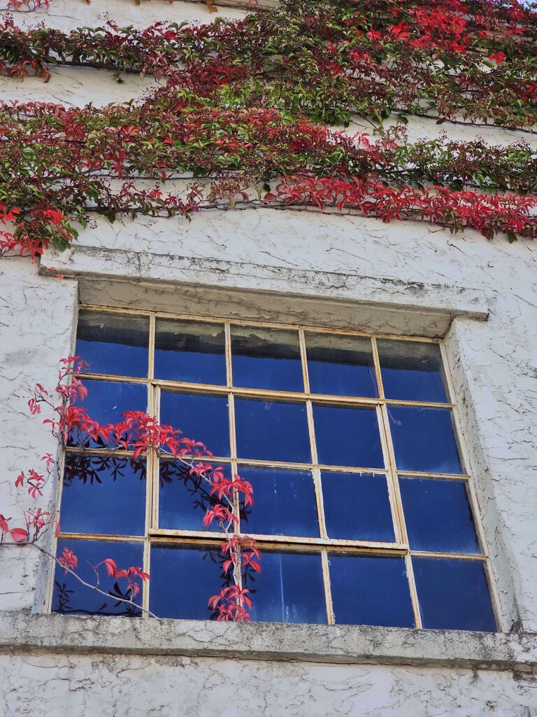 Fall 5 by edorreandresen