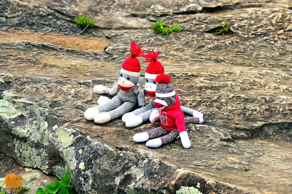 Sock Monkeys On The Trail by randy23