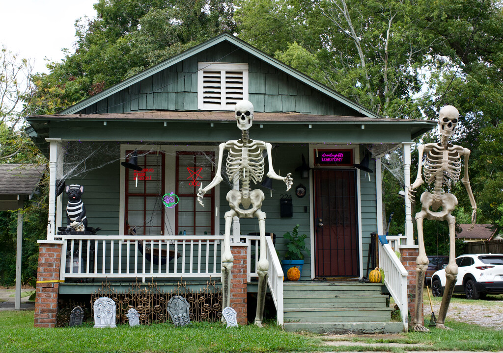 Brittany's New Skeleton by eudora