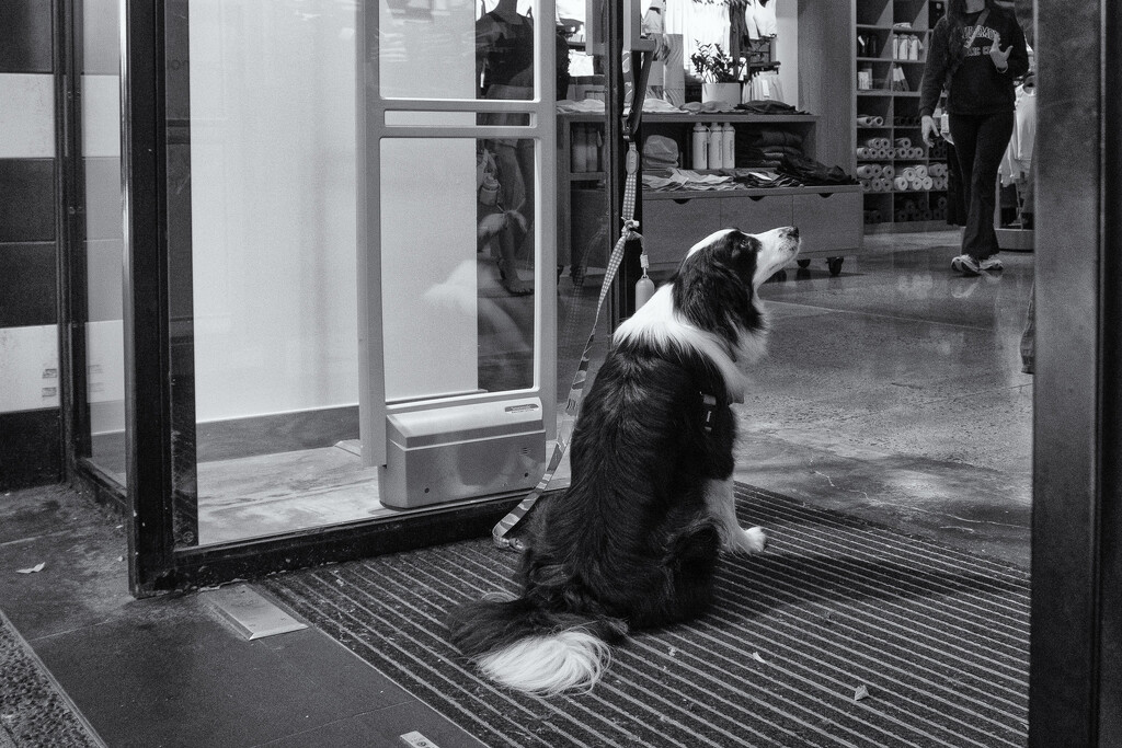 Store Security Officer by helenw2