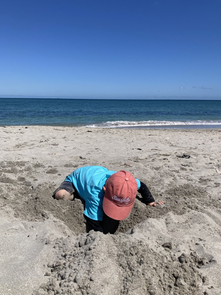 Monday Morning  by narayani