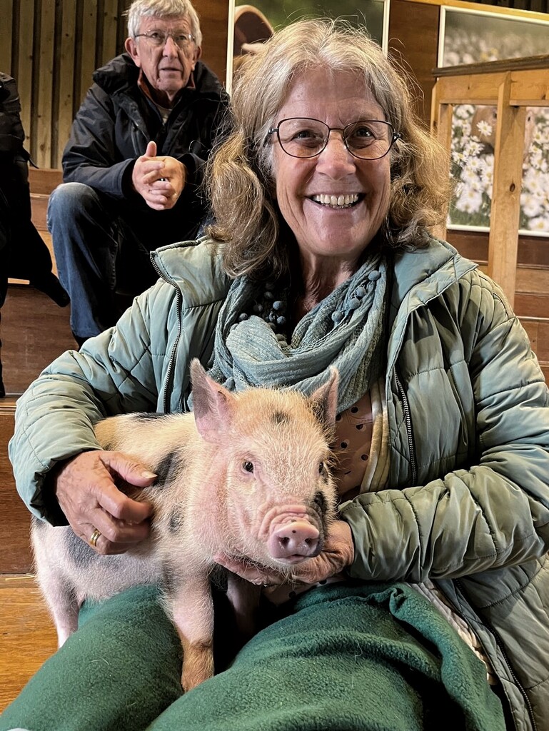 It's a Trotter (aka Hoofer) by 30pics4jackiesdiamond