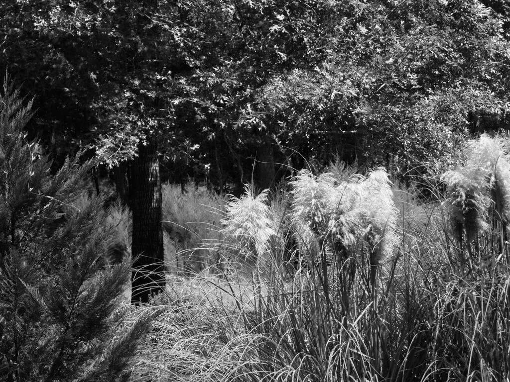 Mop heads... by marlboromaam