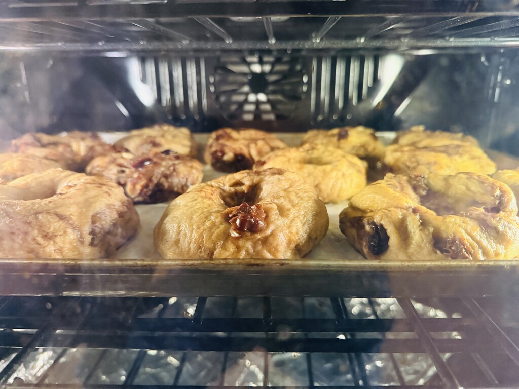 Bagels Baking by shutterbug49