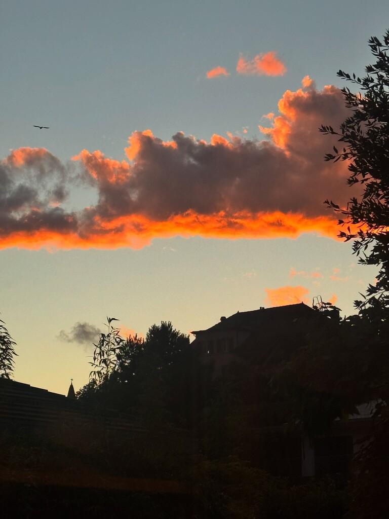 Sunset.  by cocobella