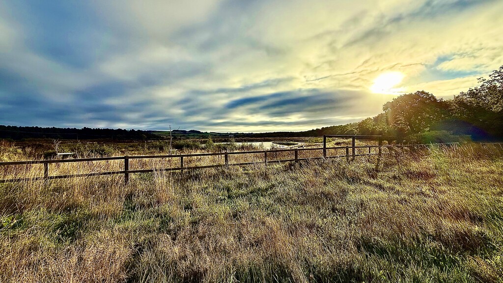 Wolds Edge by carole_sandford