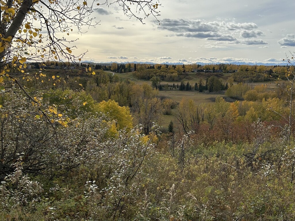 Fall Colors by sueschaar