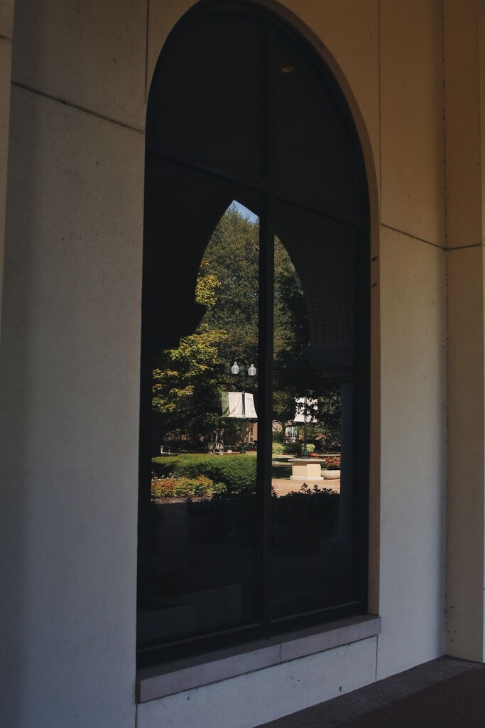 Reflection by judyc57