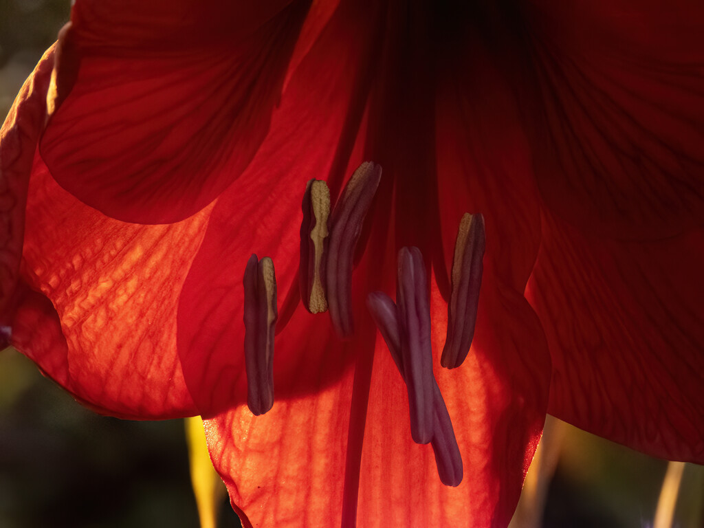 happy hippy - the sexy bits by koalagardens