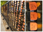 6th Oct 2025 - Feather Clip Project