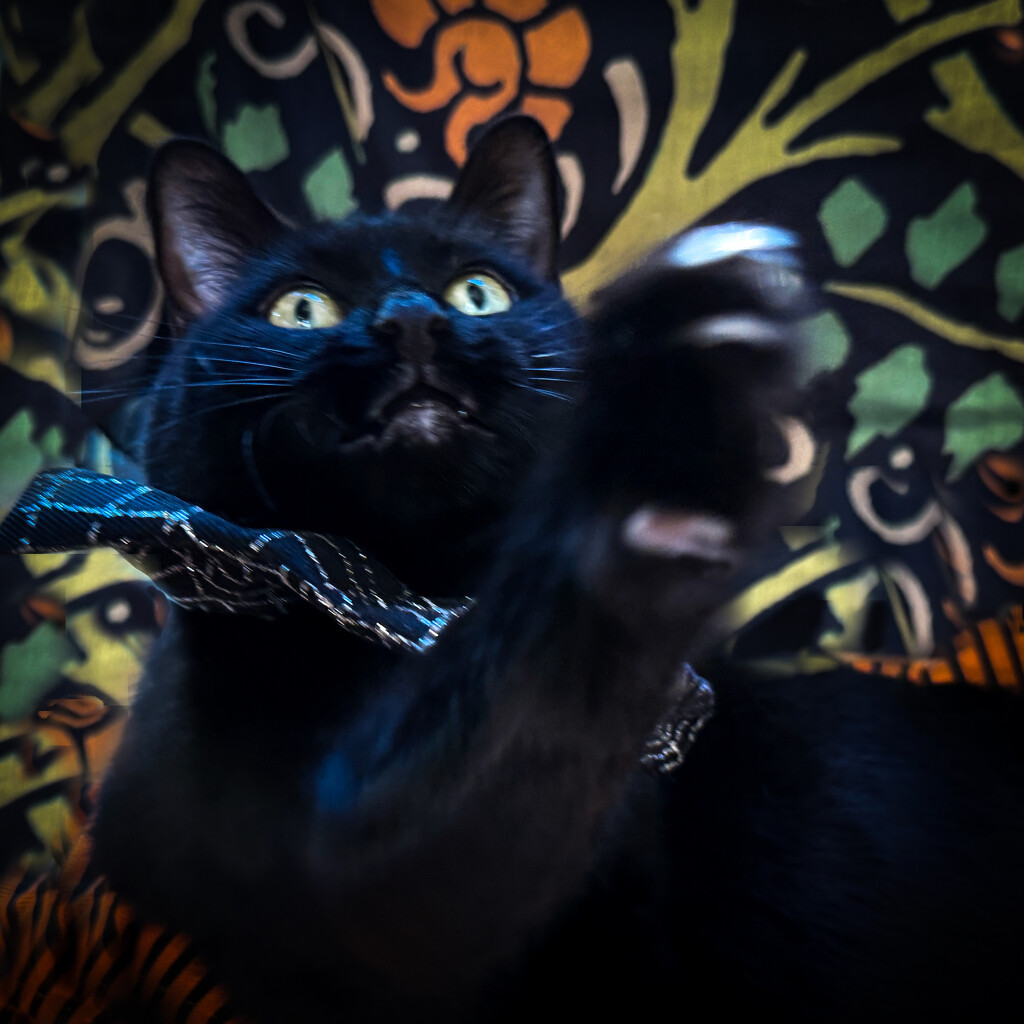 "Something wicked this way comes..." by berelaxed