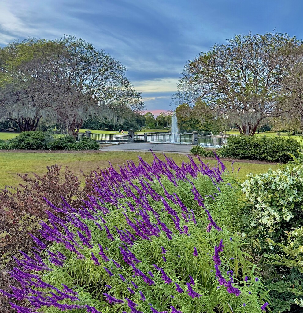 Early Autumn at Hampton Park by congaree