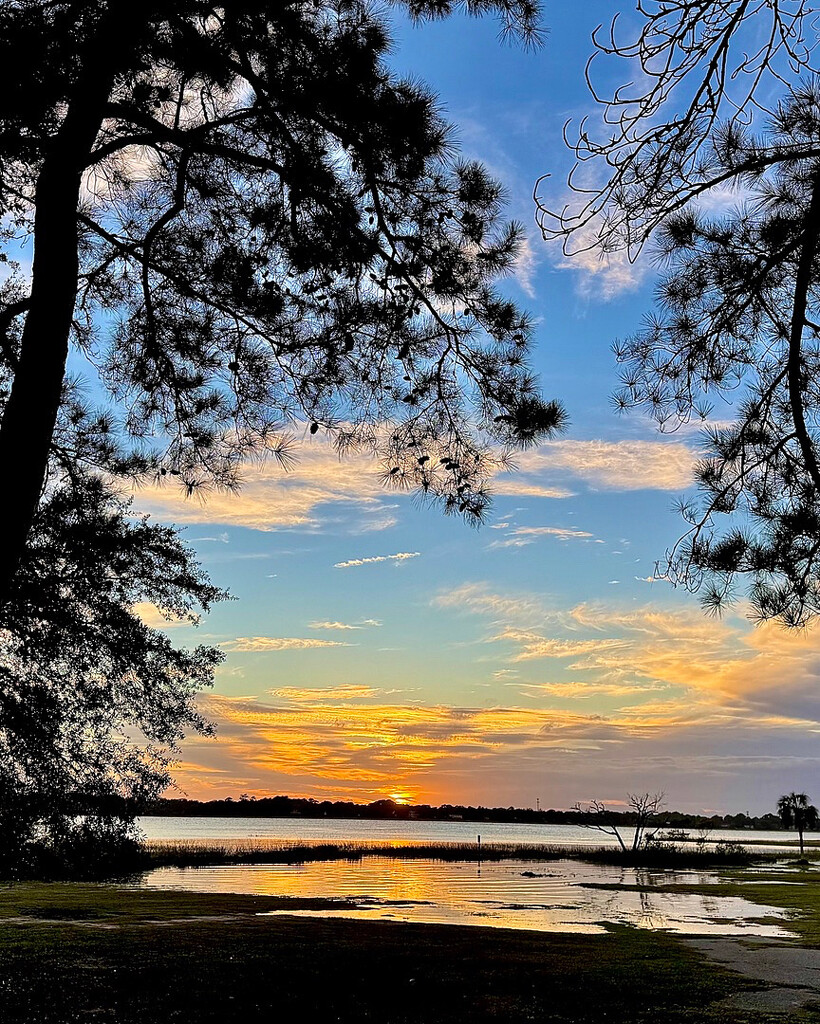 High tide flooding at sunset  by congaree