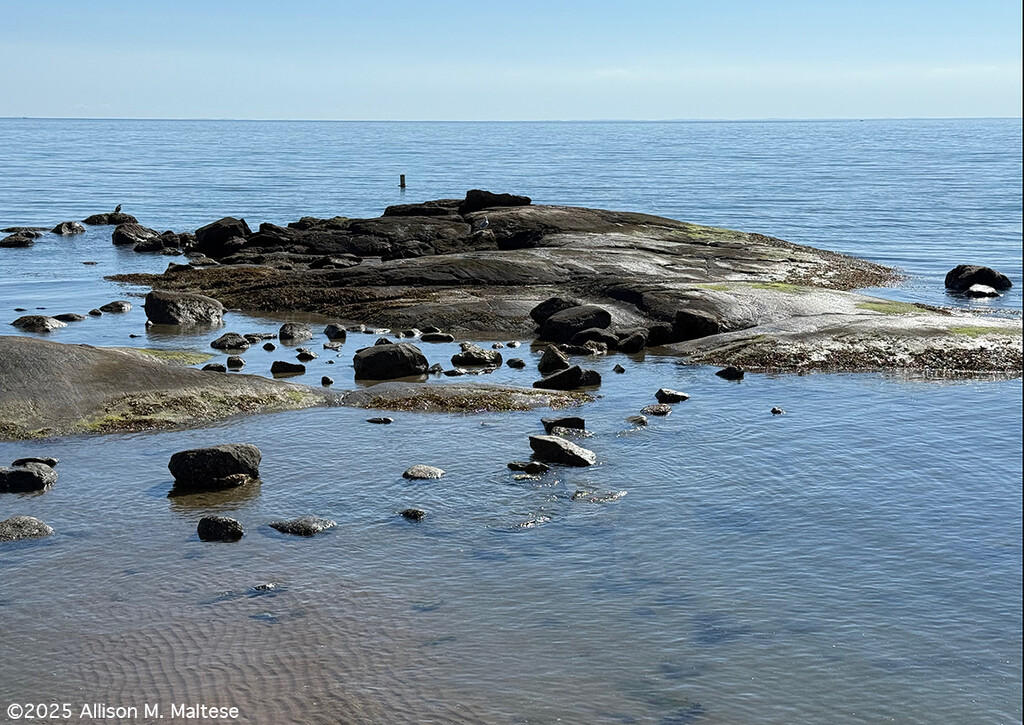 Long Island Sound by falcon11