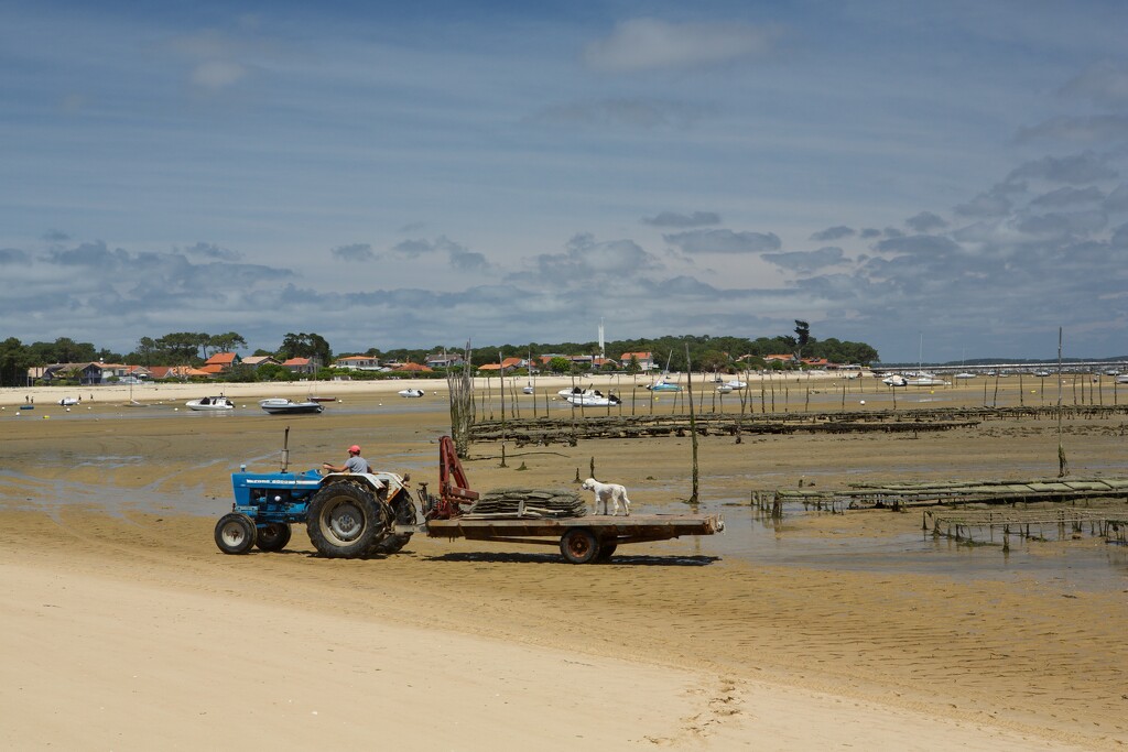 28th May 2025 by emmadurnford