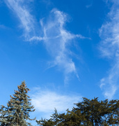 6th Oct 2025 - she dances