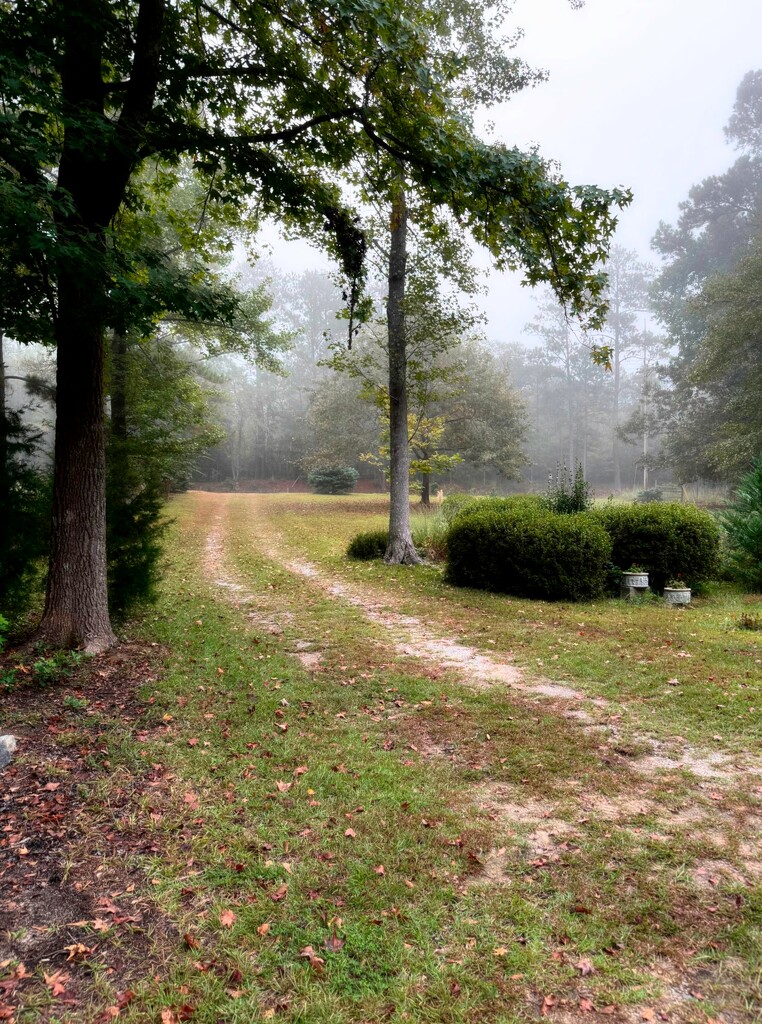 Just a bit of a foggy morn... by marlboromaam