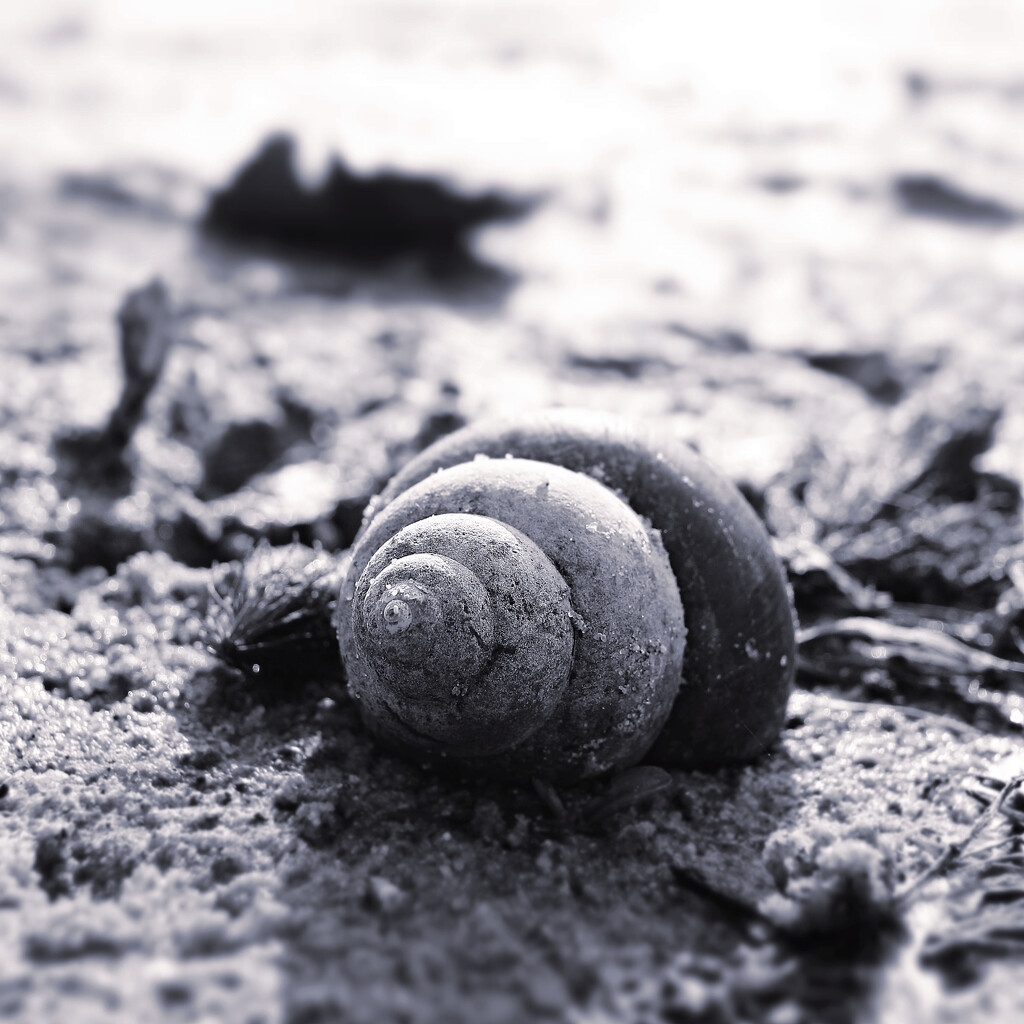 Quiet Beach by juliedduncan