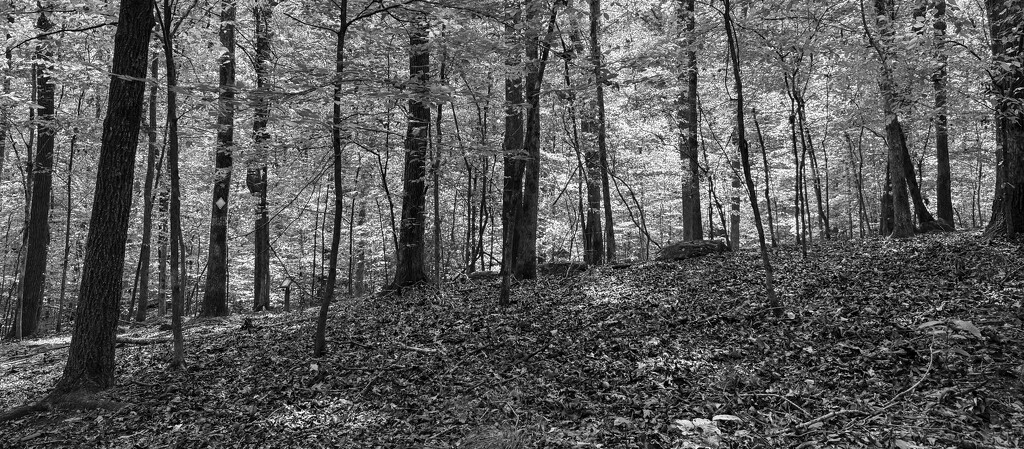 Awareness begins by lsquared