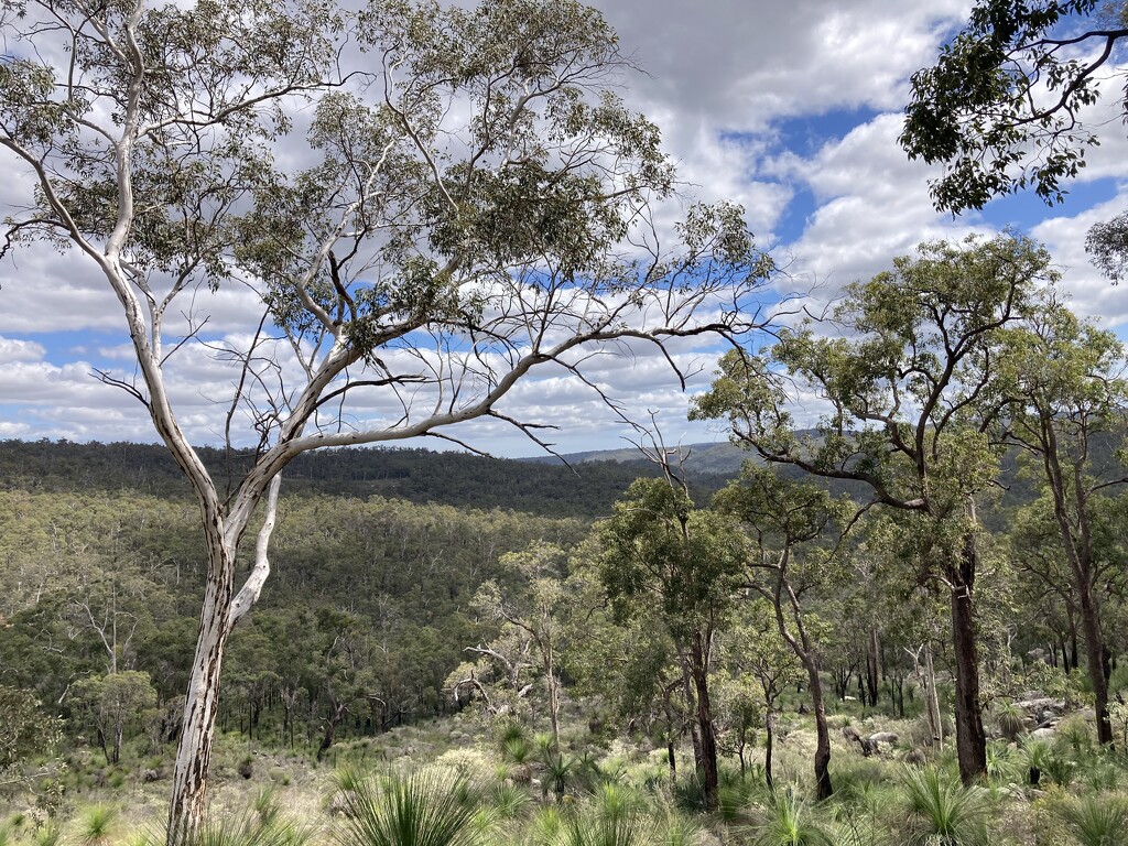 Mundaring by narayani