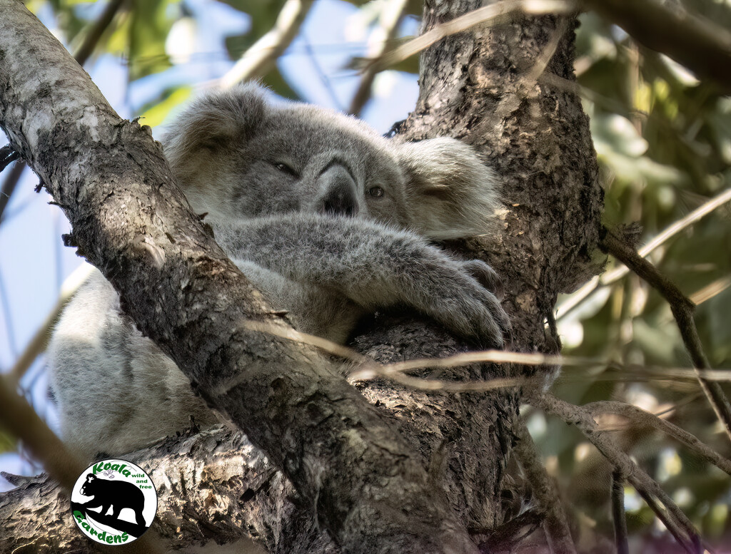 Eden = hope by koalagardens