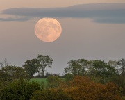 7th Oct 2025 - Almost Full Moon 