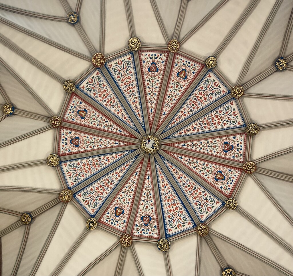York minsters chapter house ceiling by sianharrison