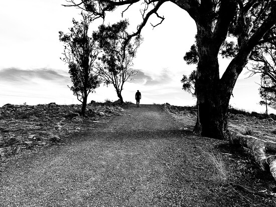 Official Top 20 Chart - Week 790