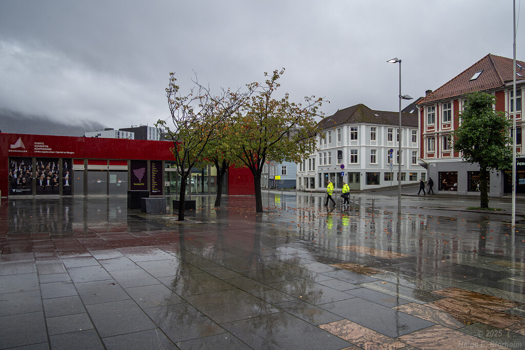 Hi-Viz on a grey day  by helstor365