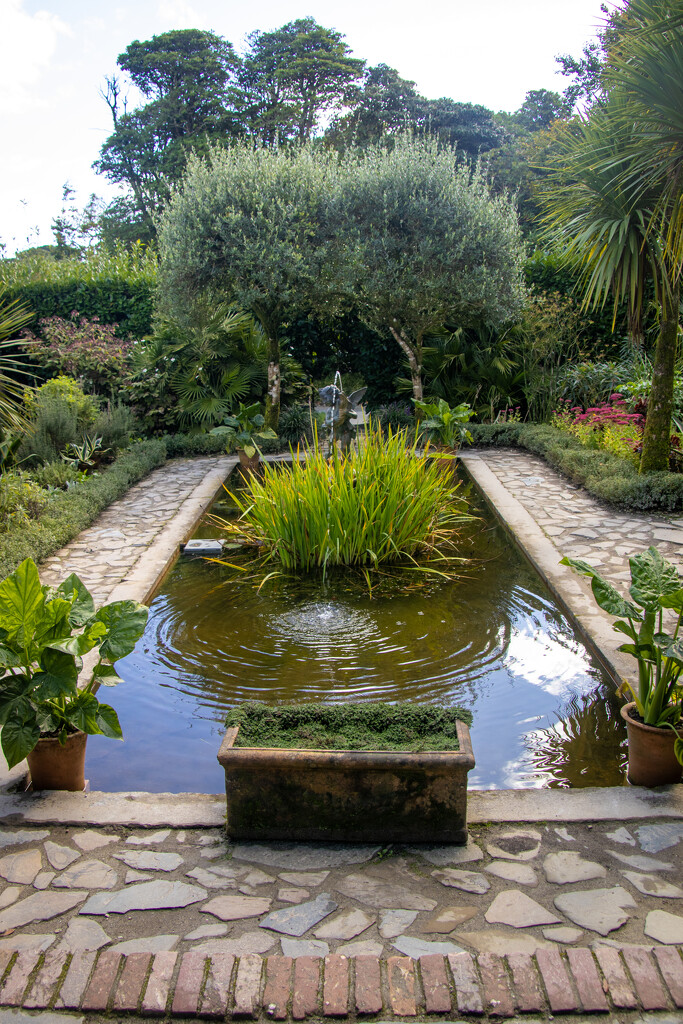 Pond by swillinbillyflynn