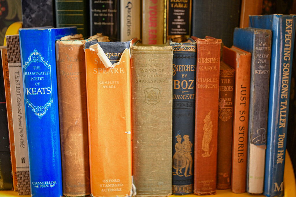 Old Books by leonieruth