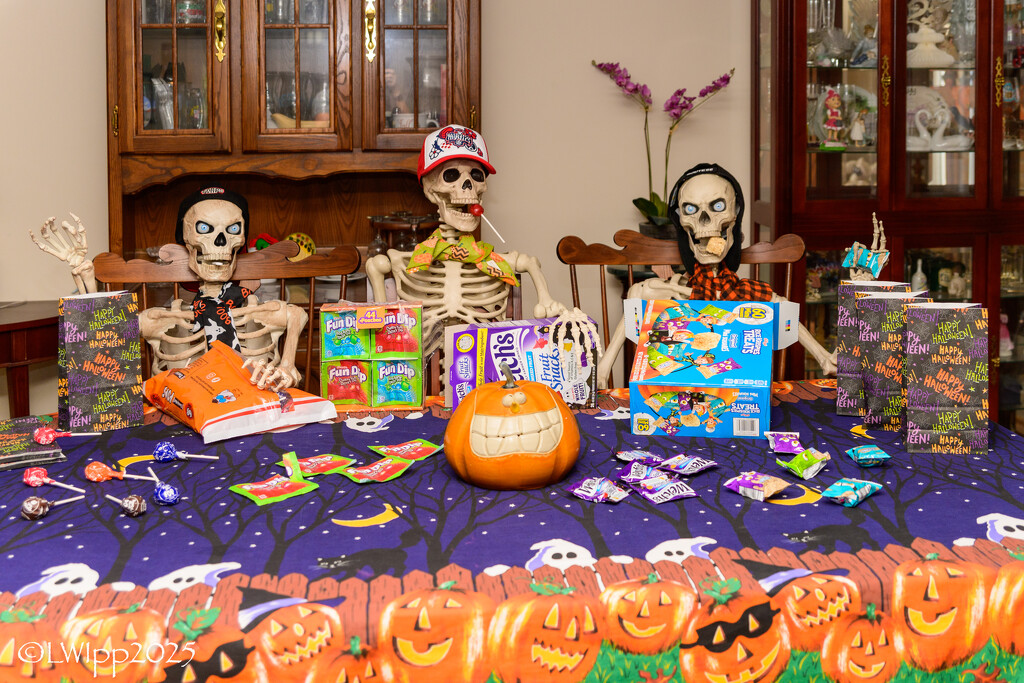 A Skeleton A Day 2025 by lesip