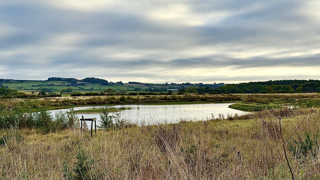 Wolds  Edge 2 by carole_sandford