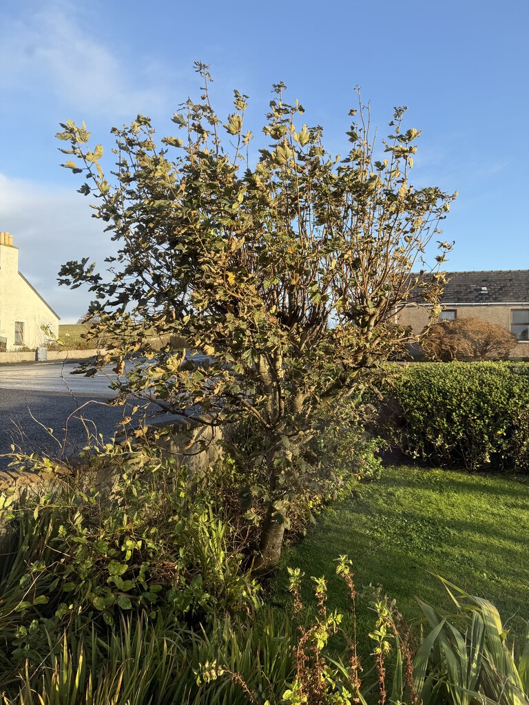 Change in Weather by lifeat60degrees