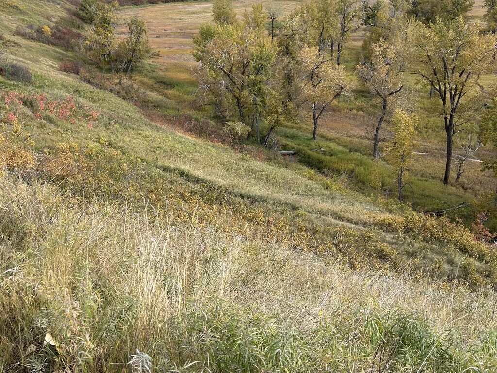 Fall Time on the Hill by sueschaar