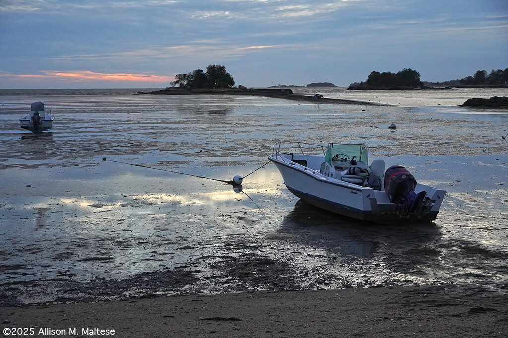 Ultra-Low Tide by falcon11