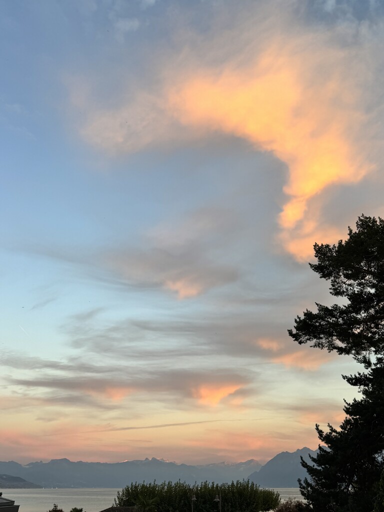 End of the day.  by cocobella