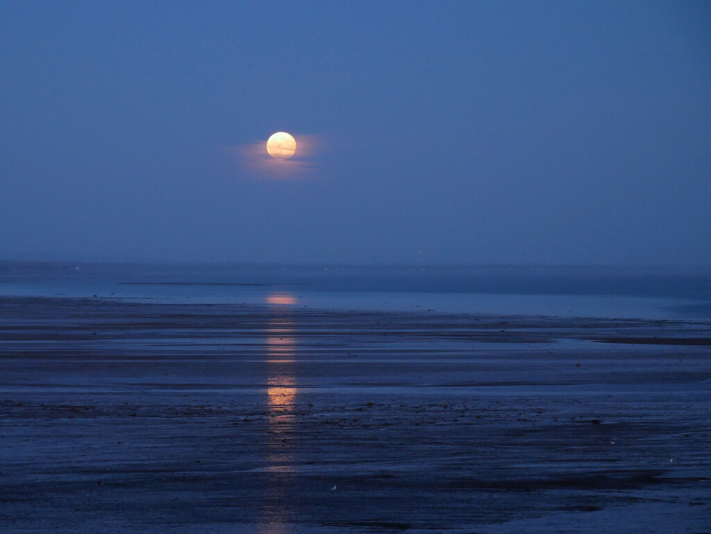 Harvest Supermoon by ljmanning