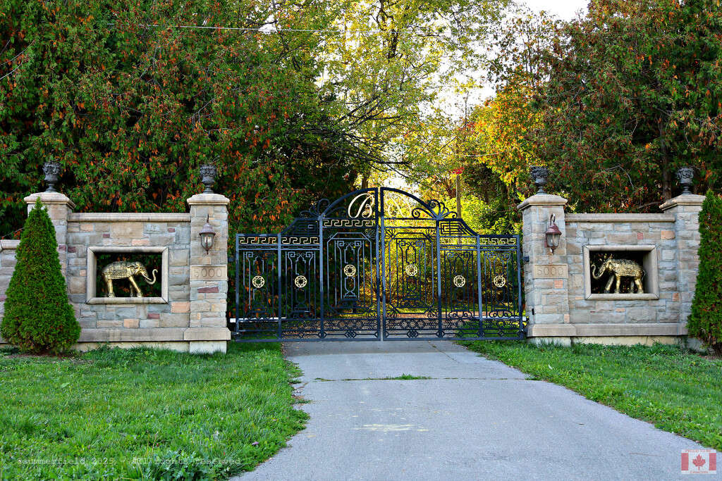 the gate of privileges by summerfield