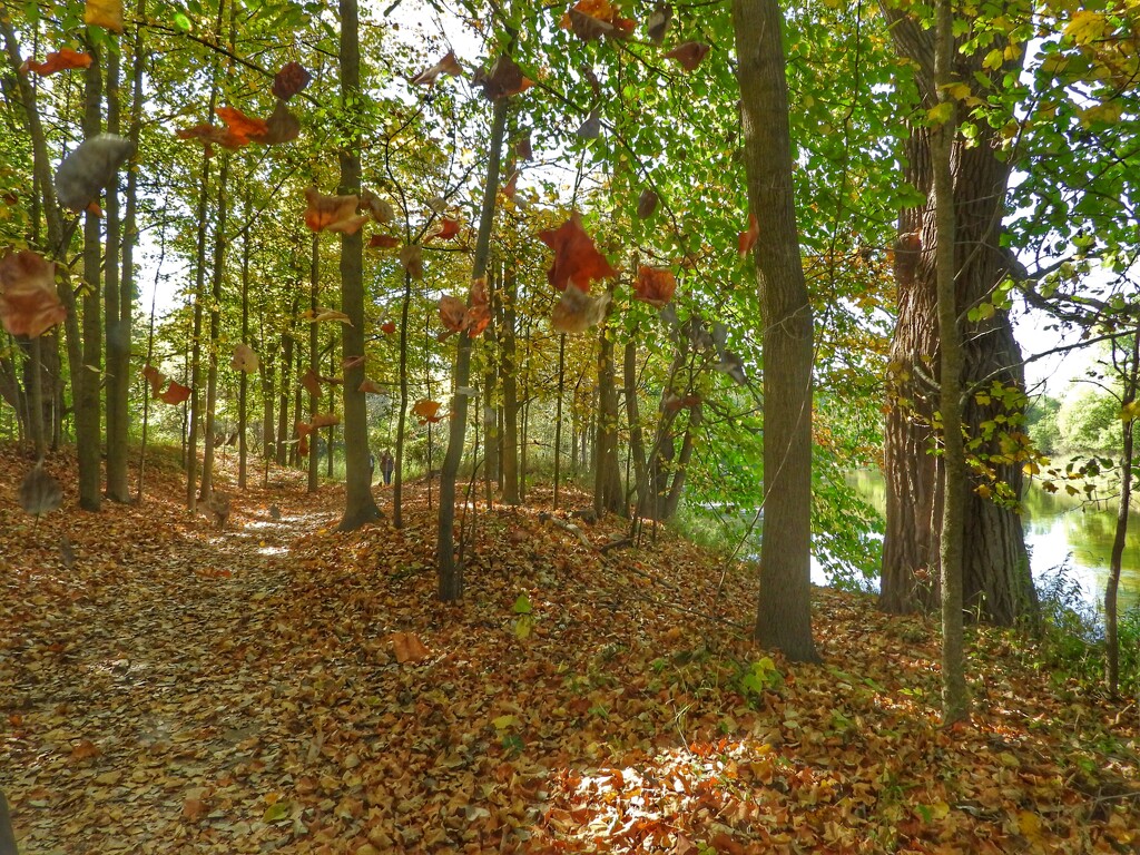 “fall” scene by amyk