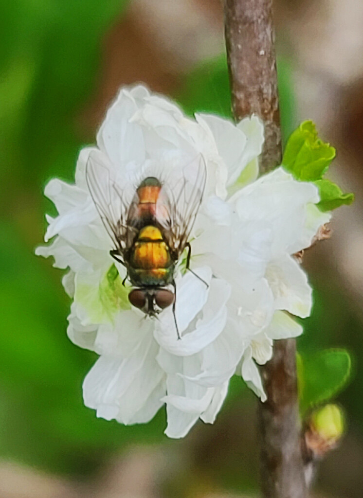 Even Slower Than Me at the Moment by onewing