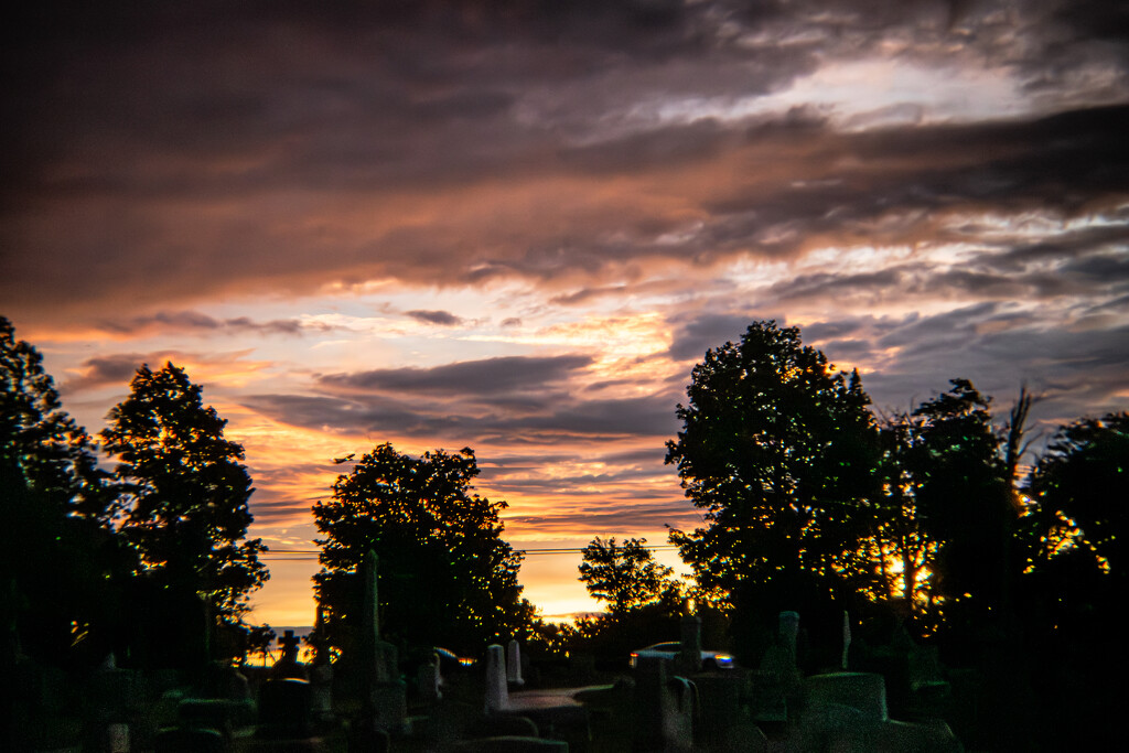 Sunrise-Day Holga 45 by darchibald