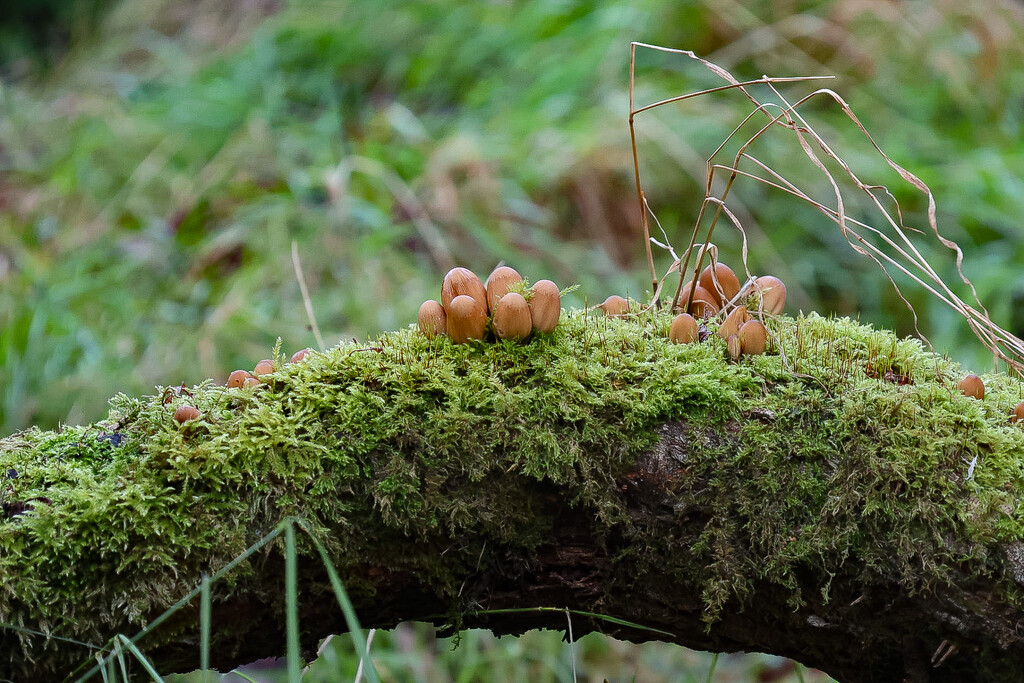 Damp Conditions by lifeat60degrees